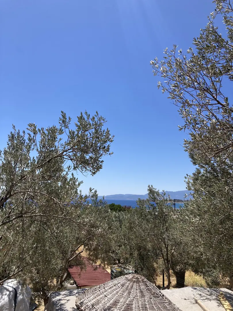 Assos Baykuş kamp&karavan konaklama — Çanakkale — küçük resim 5