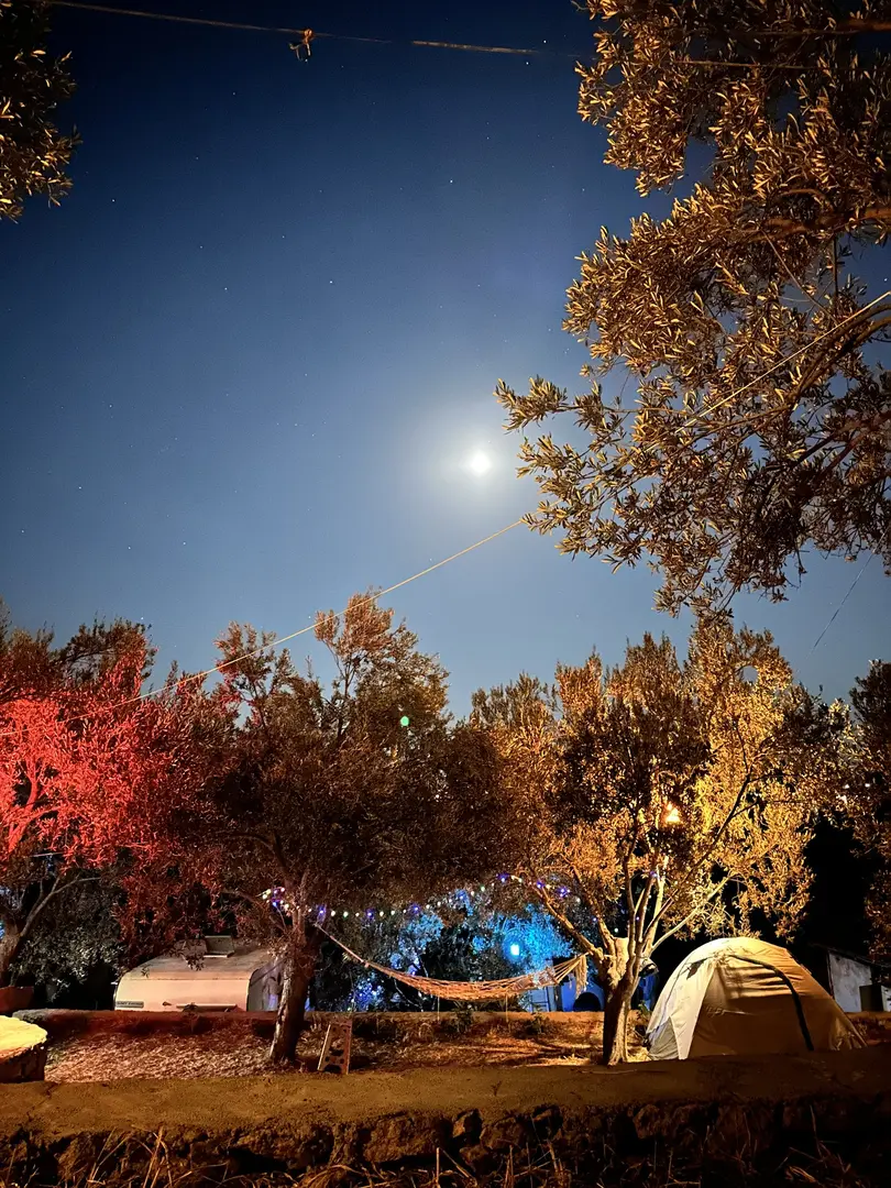 Assos Baykuş kamp&karavan konaklama — Çanakkale — küçük resim 7
