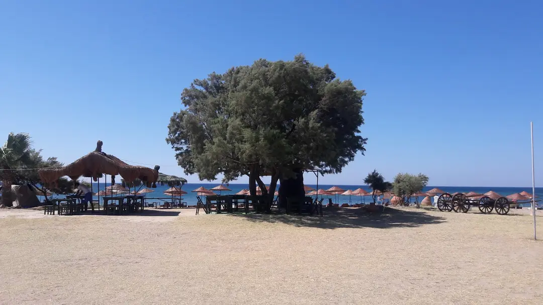 Şen Kamping — Çanakkale — küçük resim 5