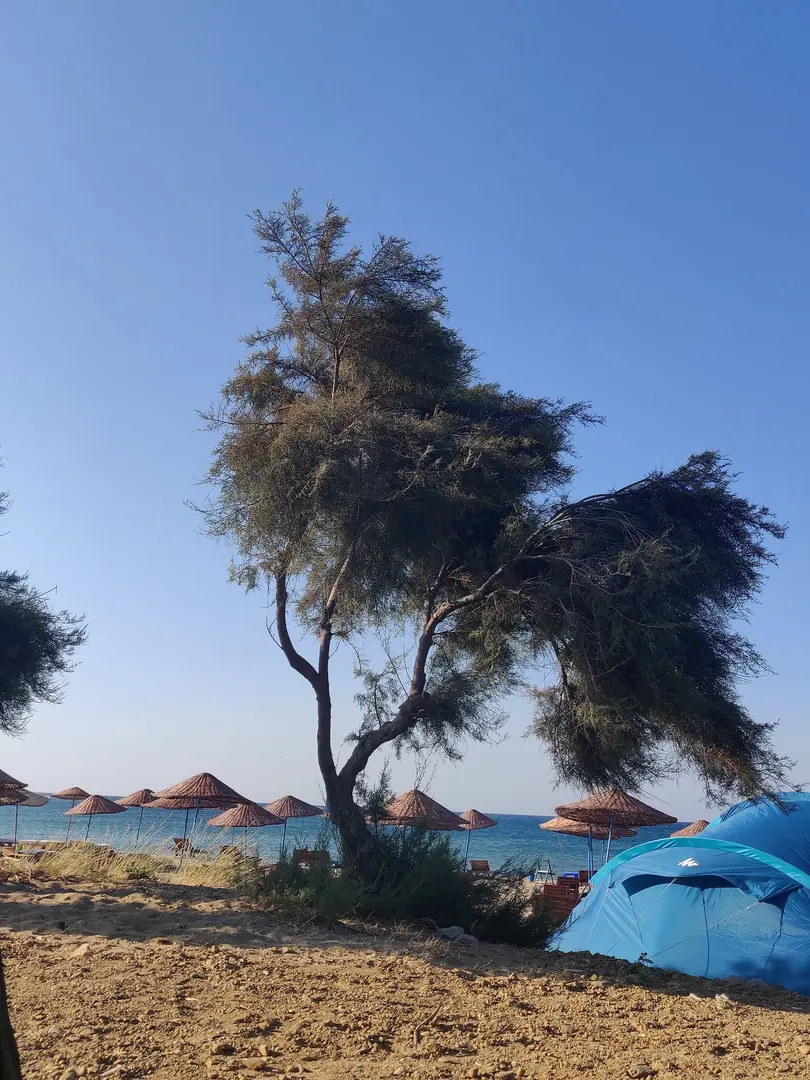 Şen Kamping — Çanakkale — küçük resim 7