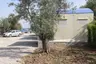 Assos Yıldız Camping