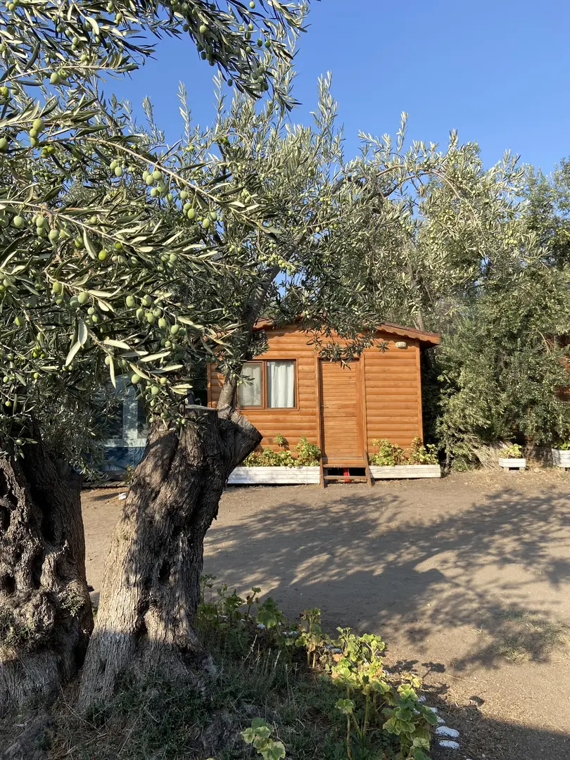Assos Çaça Camping Bungalov — Çanakkale — küçük resim 6