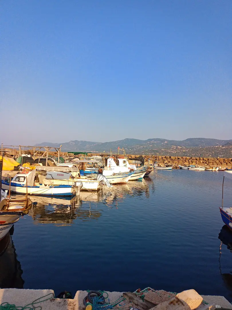 Sivrice koyu — Çanakkale — küçük resim 5