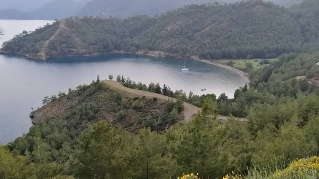 Dalaman