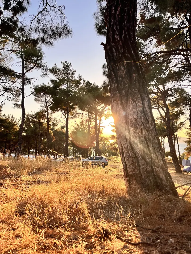 Evreka Kamp Alanı (Çadır-karavan) — Çanakkale — küçük resim 8