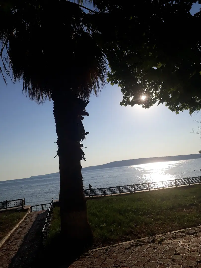 Yahya Çavuş Orman Kamp — Çanakkale — küçük resim 9