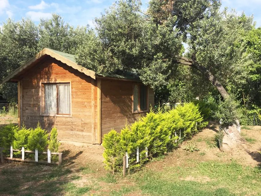 Santa Assos Bungalow Evleri Çanakkale — Çanakkale — küçük resim 2