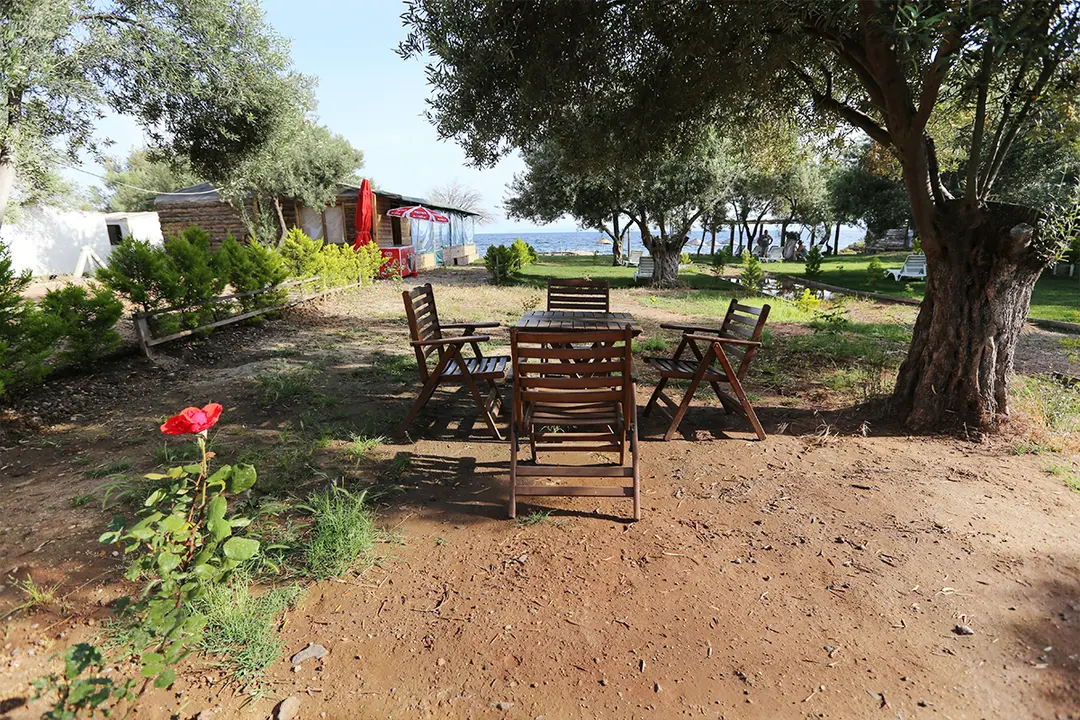Santa Assos Bungalow Evleri Çanakkale — Çanakkale — küçük resim 8