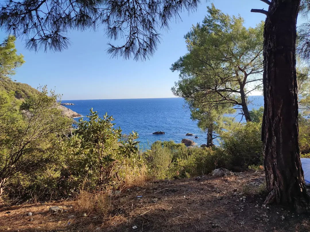 Likya Garden Life — Muğla — küçük resim 7