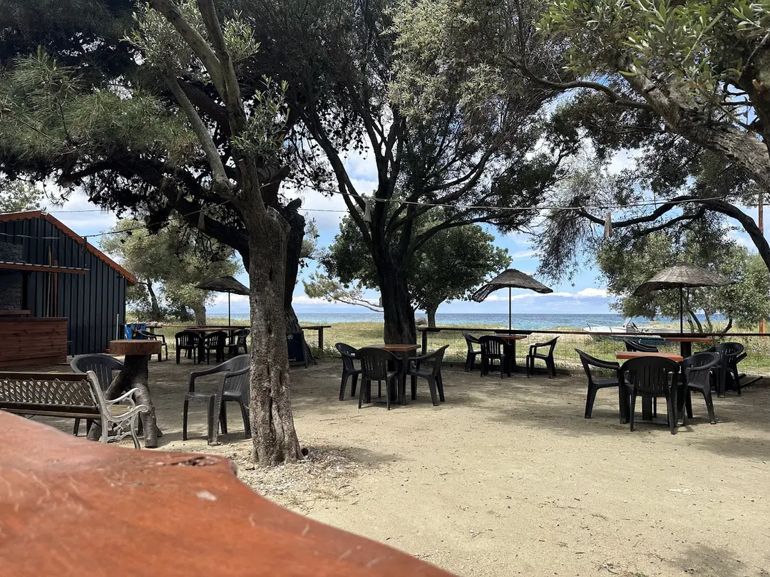 Zeytin Cafe & Bungalows — Çanakkale — küçük resim 3