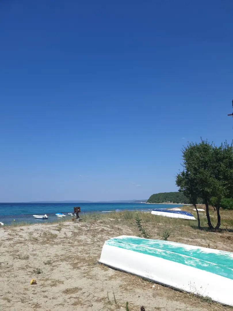 Zeytin Cafe & Bungalows — Çanakkale — küçük resim 2