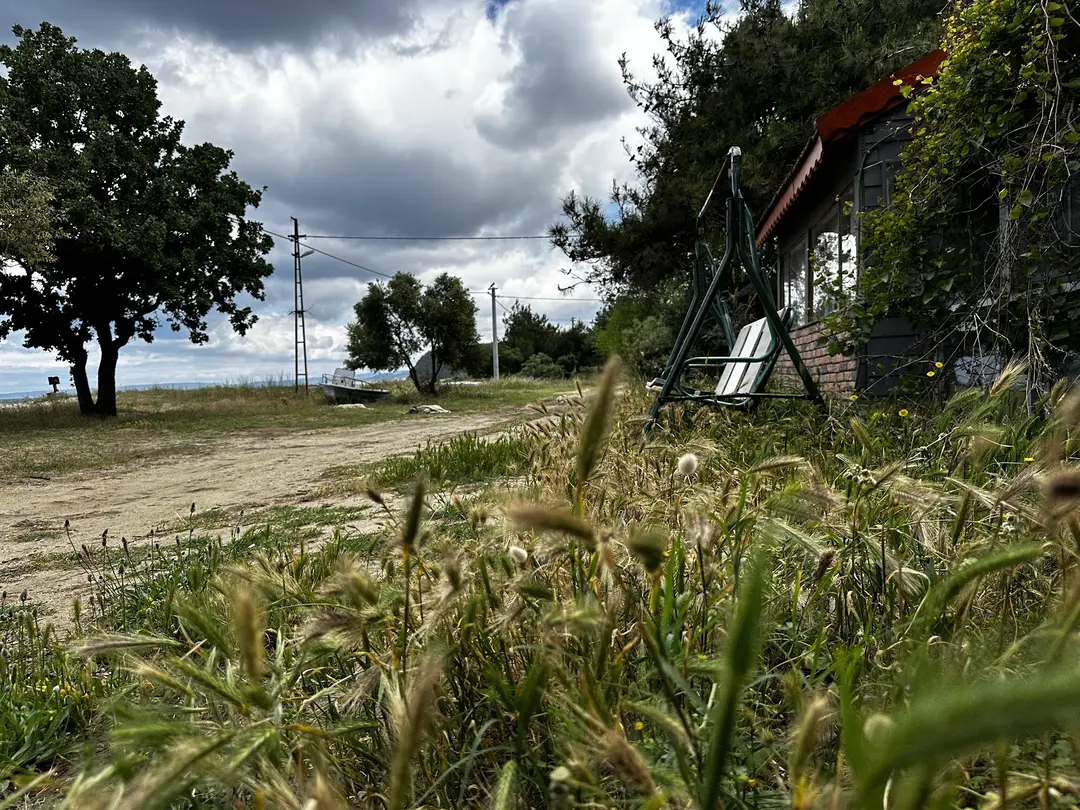 Zeytin Cafe & Bungalows — Çanakkale — küçük resim 5