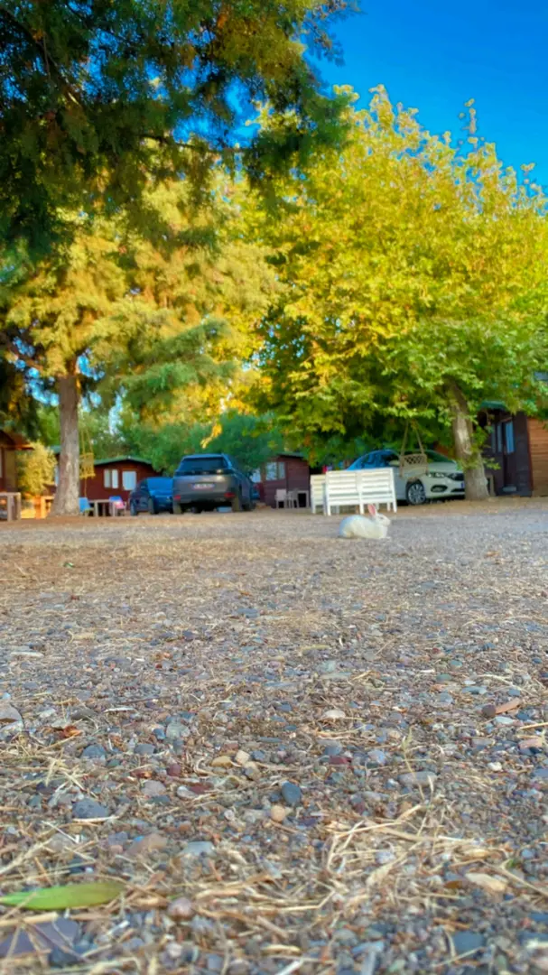 Derya&Deniz Bungalow Beach 2 — Çanakkale — küçük resim 8
