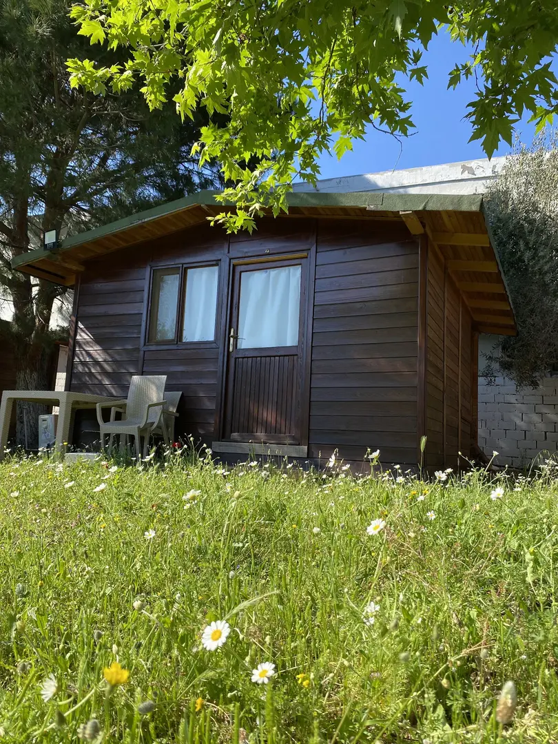 Derya&Deniz Bungalow Beach 2 — Çanakkale — küçük resim 6