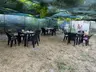 Gökçeada Tunç Bungalov