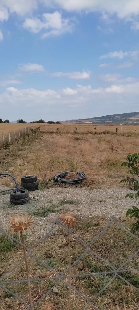 Semka Bungalov Villas — Çanakkale — küçük resim 3
