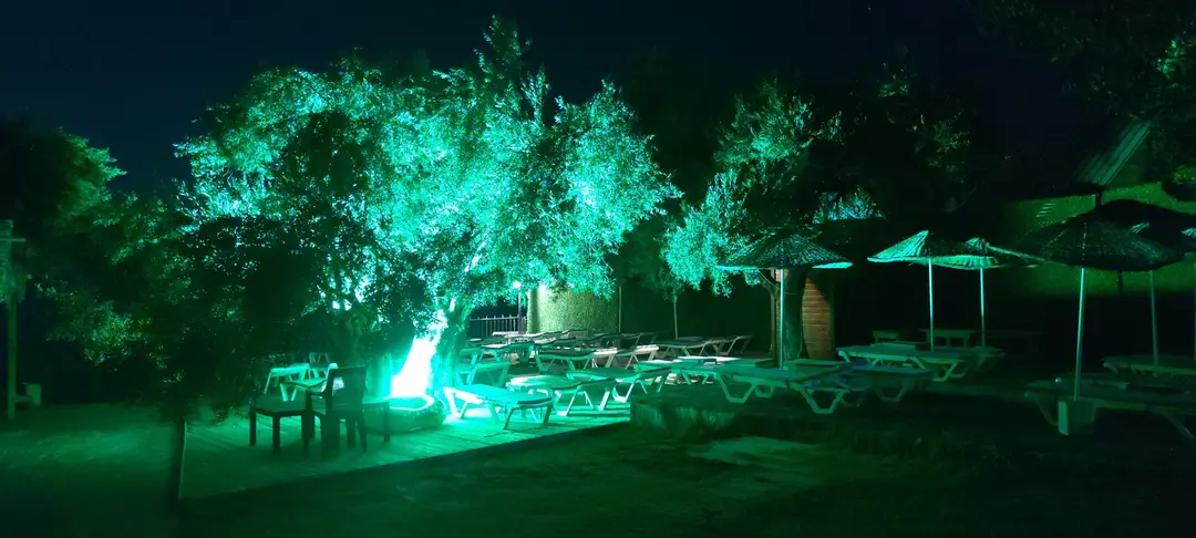 Zytun Bungalows — Çanakkale — küçük resim 9