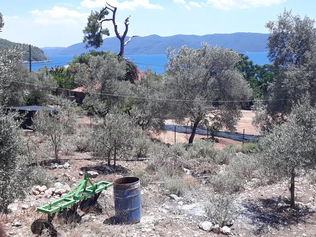 Akyaka Cengizin Yeri Camp — Muğla — küçük resim 5