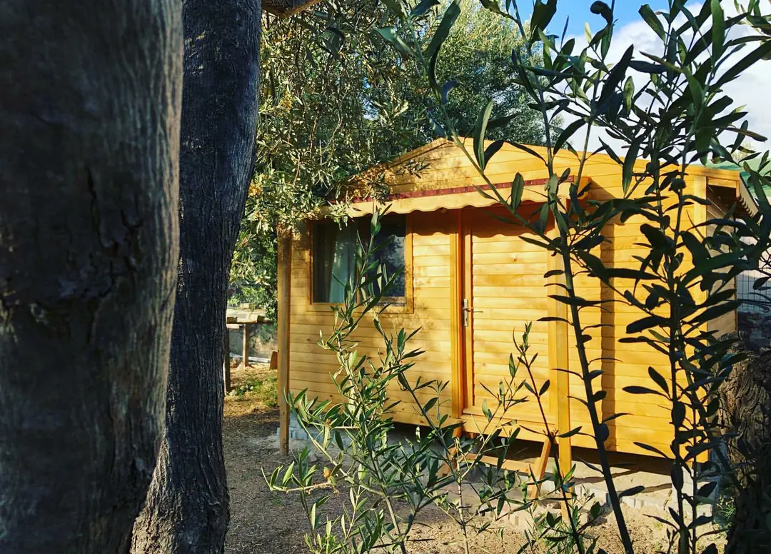 Mavi Assos Beach Bungalow Kamp — Çanakkale — küçük resim 7