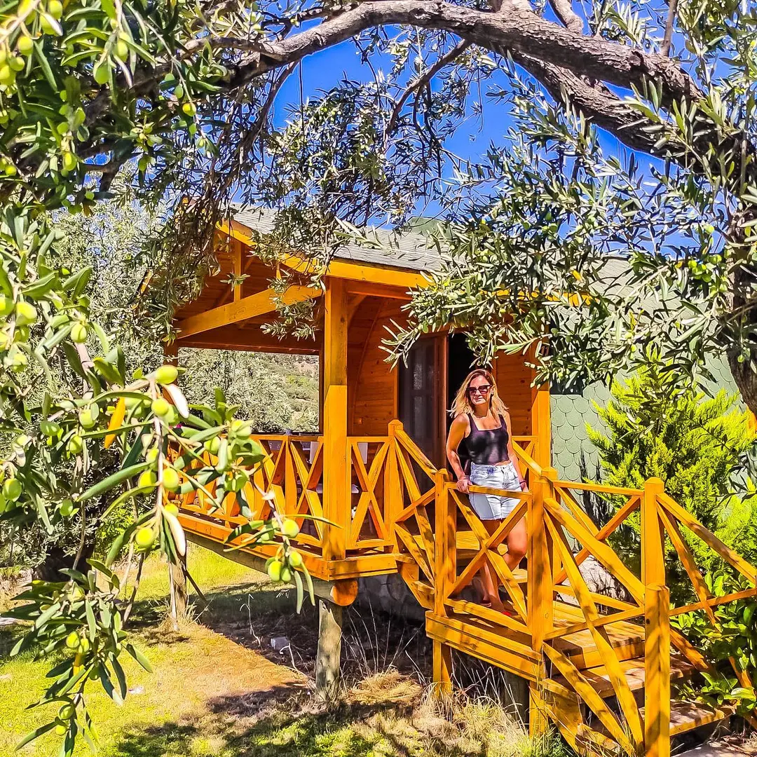 Kazdağı Healthy Living Village — Balıkesir — küçük resim 3