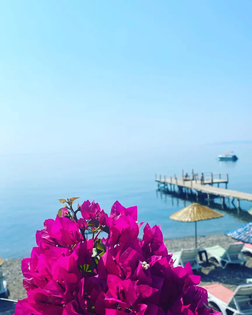 TUBA CAMPING & BEACH & RESTORANT & CAFE — Çanakkale — küçük resim 7