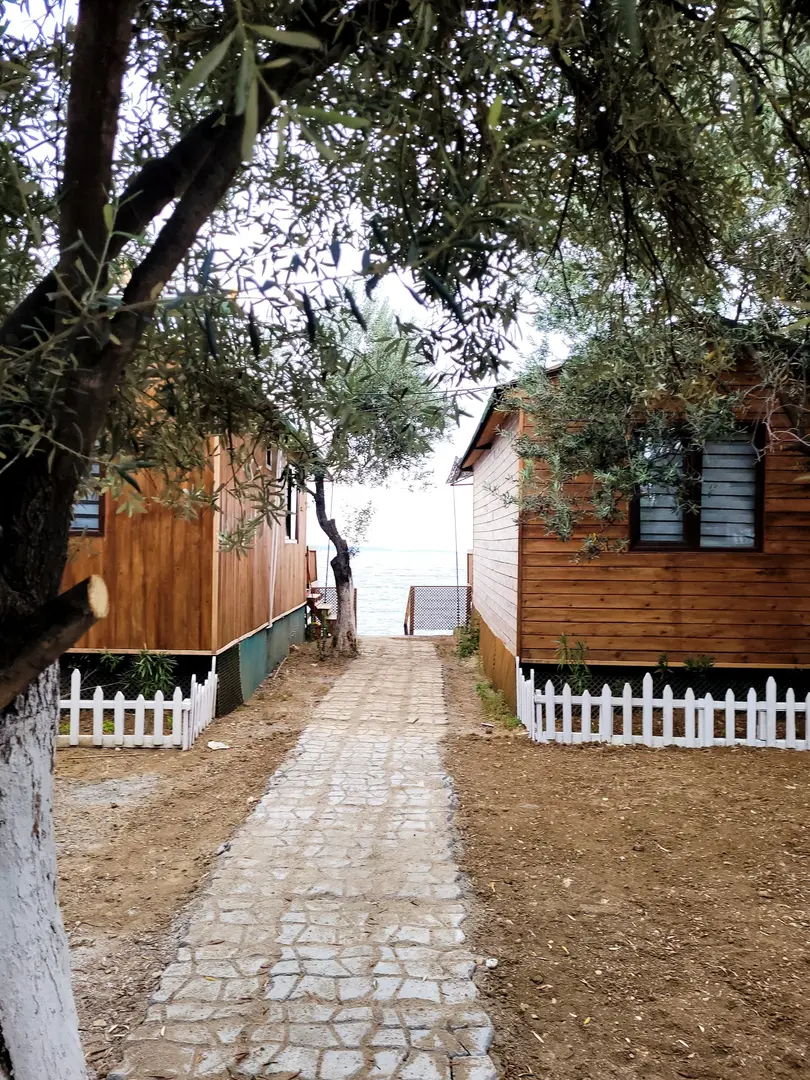 Assos İda Garden Bungalow Hotel - Assos Camping - Assos Boutique Hotel — Çanakkale — küçük resim 8
