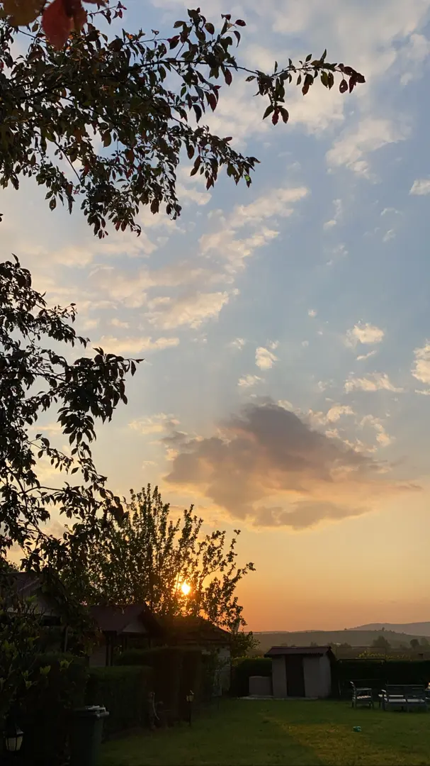 NaturaBungalows — Edirne — küçük resim 7