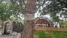 Elysia Glamping Assos