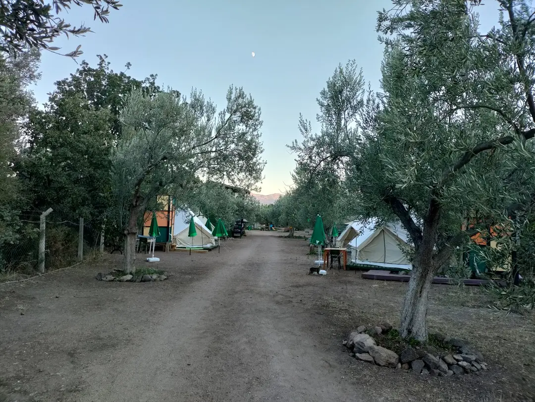 Elysium Garden Assos Bungalow & Glamping — Çanakkale — küçük resim 4