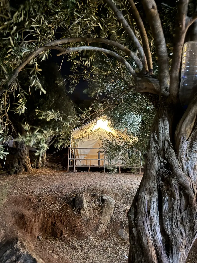 Lutra Glamping / Beach / Restaurant / Camping — Çanakkale — küçük resim 8