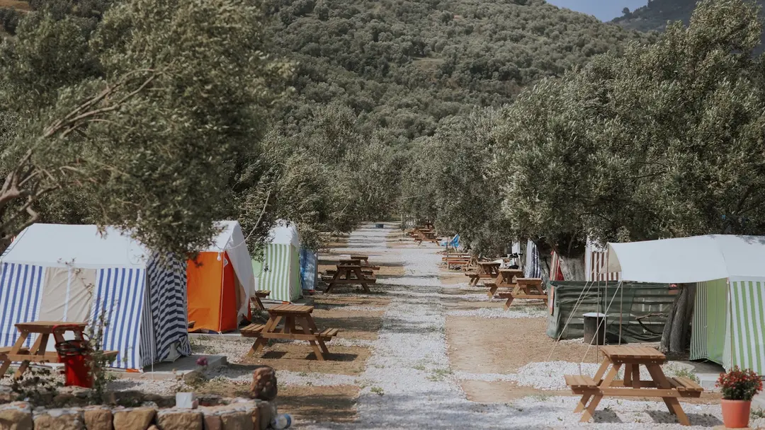 Zeus Beach&Camping — Çanakkale — küçük resim 2