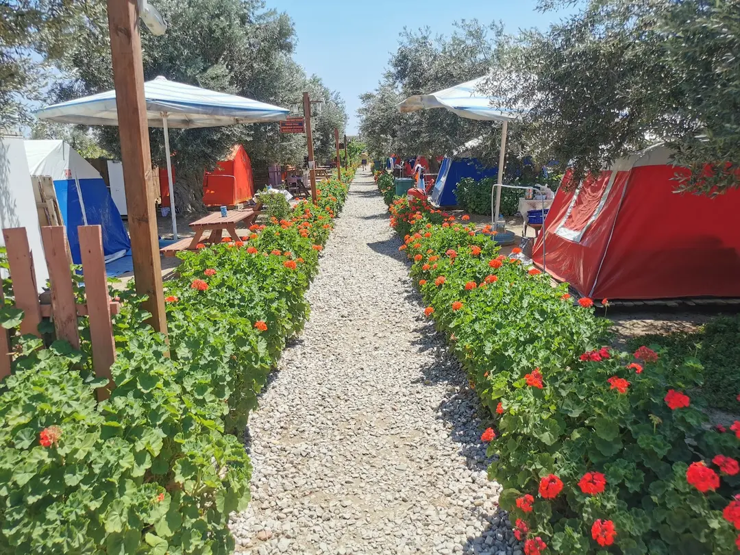 Zeus Beach&Camping — Çanakkale — küçük resim 8