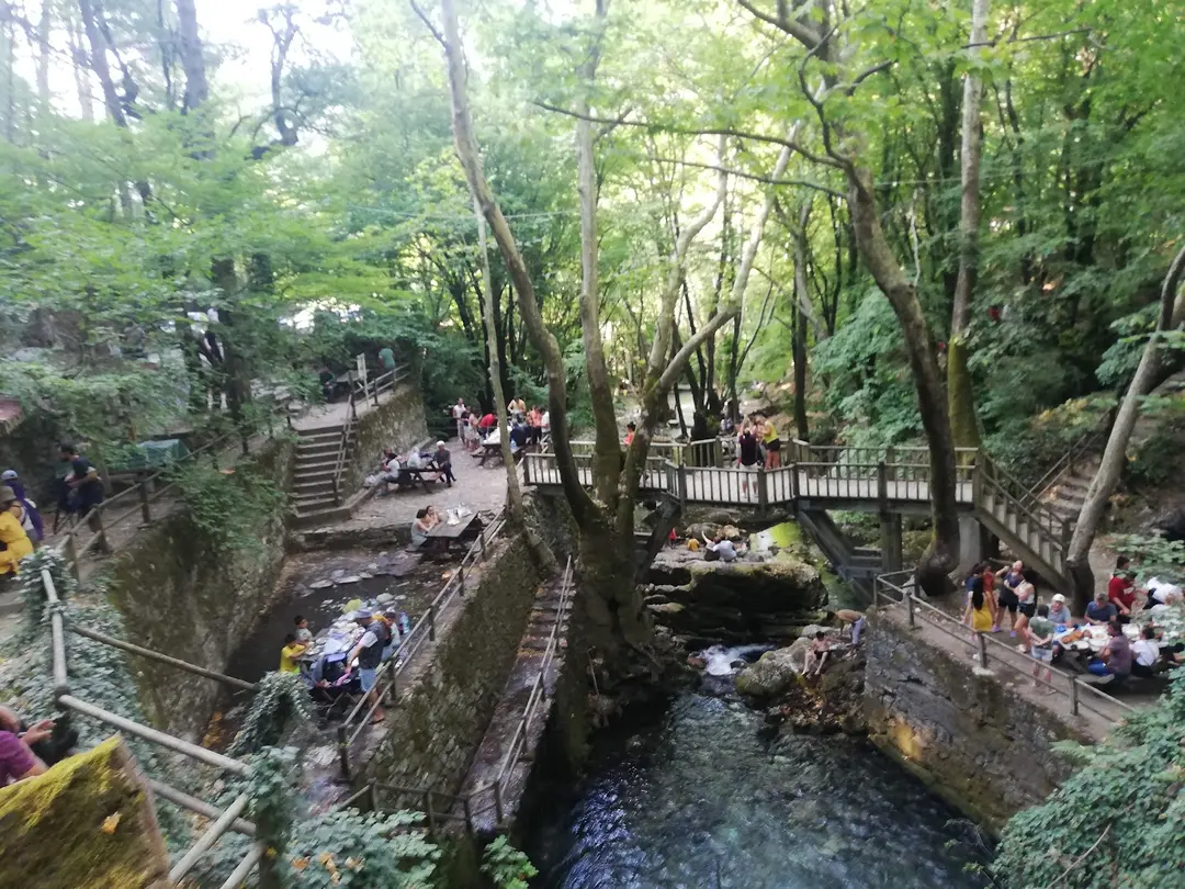 Ayazma Hidden Paradise: Little Ayazma Camping&Naturelife&Breakfast — Çanakkale — küçük resim 2
