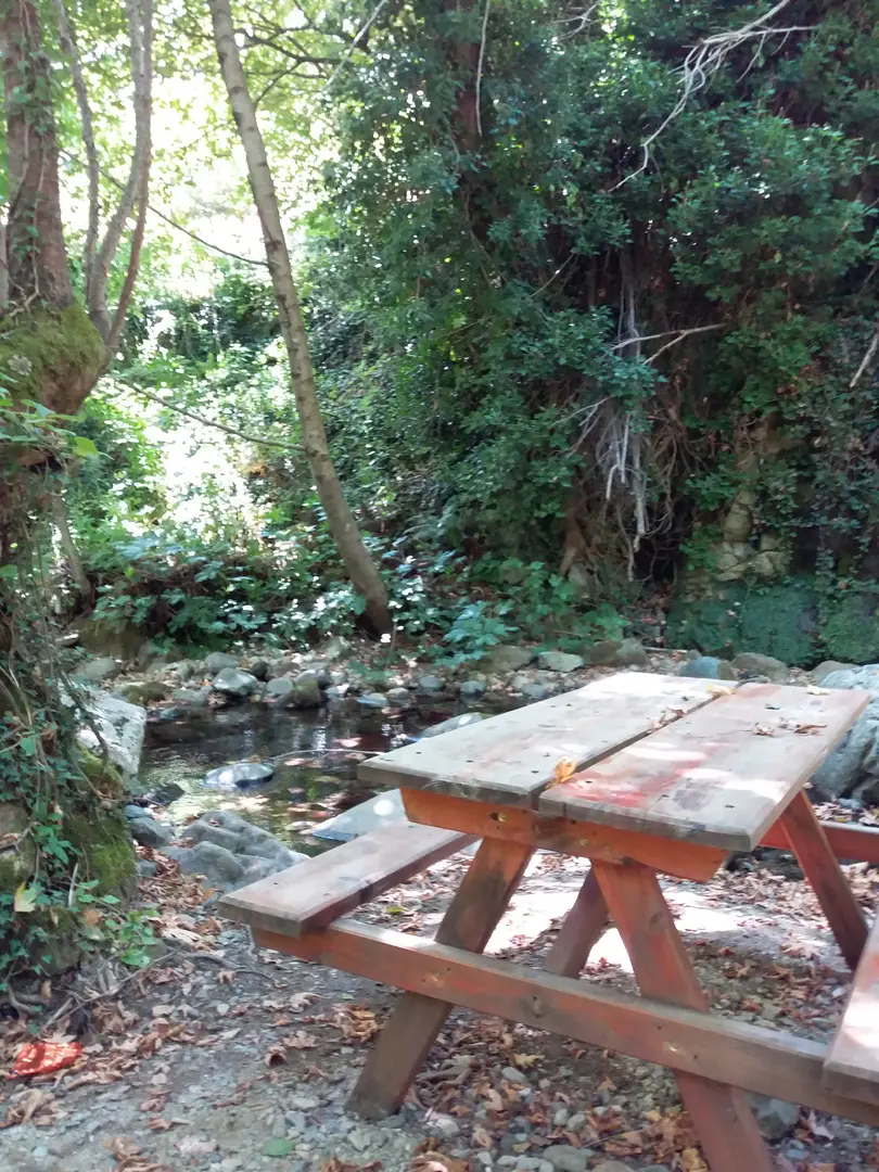Ayazma Hidden Paradise: Little Ayazma Camping&Naturelife&Breakfast — Çanakkale — küçük resim 7