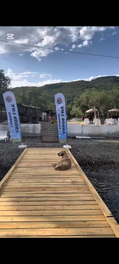 Assos Life Camping — Çanakkale — küçük resim 2