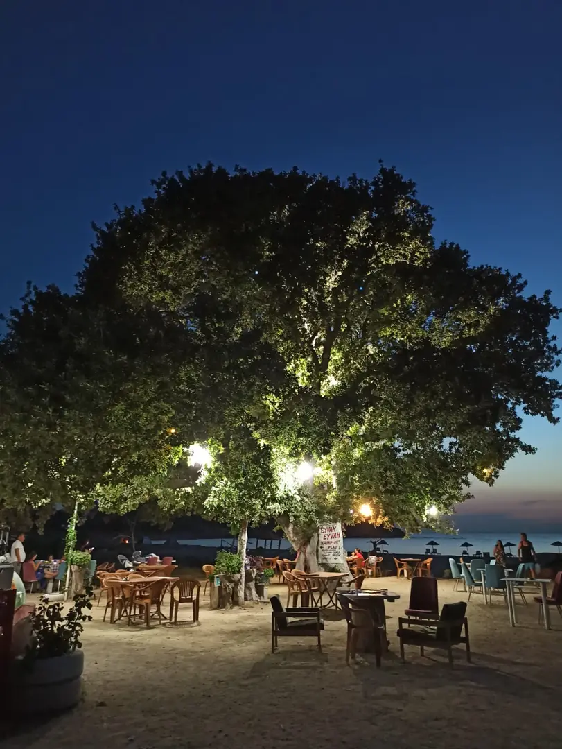 Eyvah Eyvah Camping Restaurant — Çanakkale — küçük resim 4