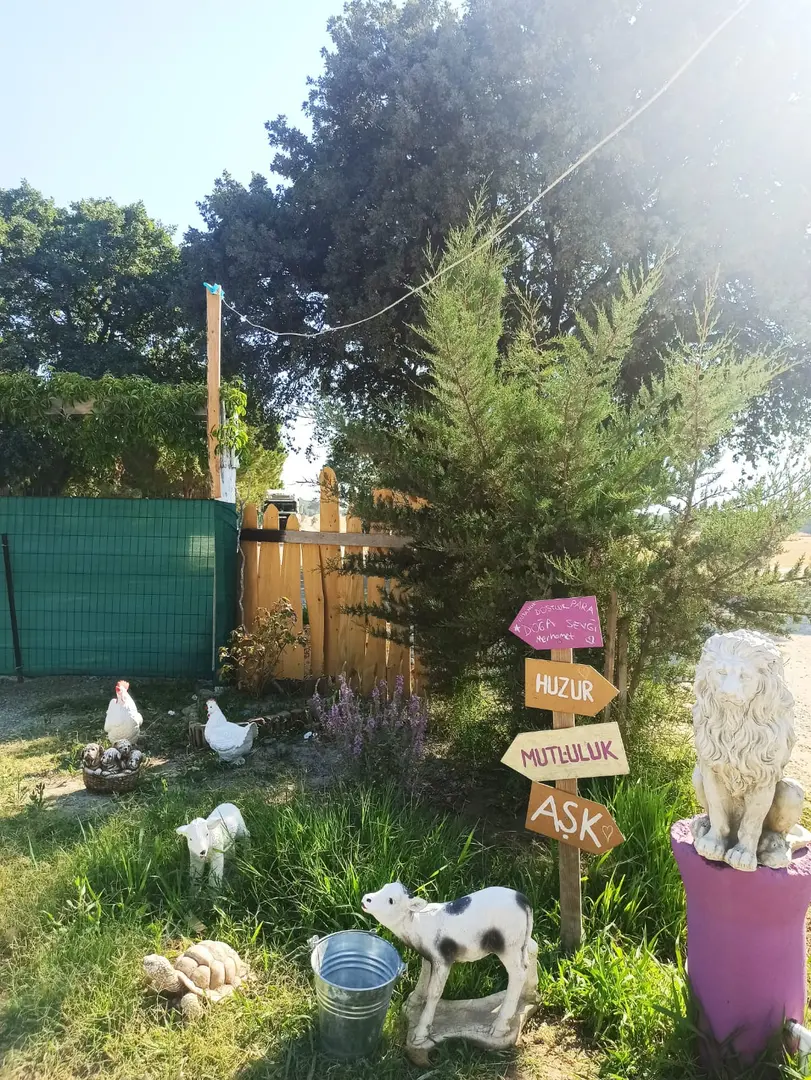 Eyvah Eyvah Camping Restaurant — Çanakkale — küçük resim 10
