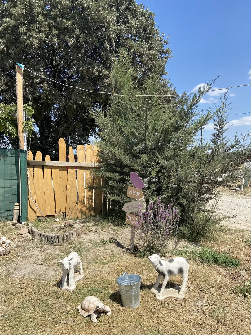 Eyvah Eyvah Camping Restaurant — Çanakkale — küçük resim 9