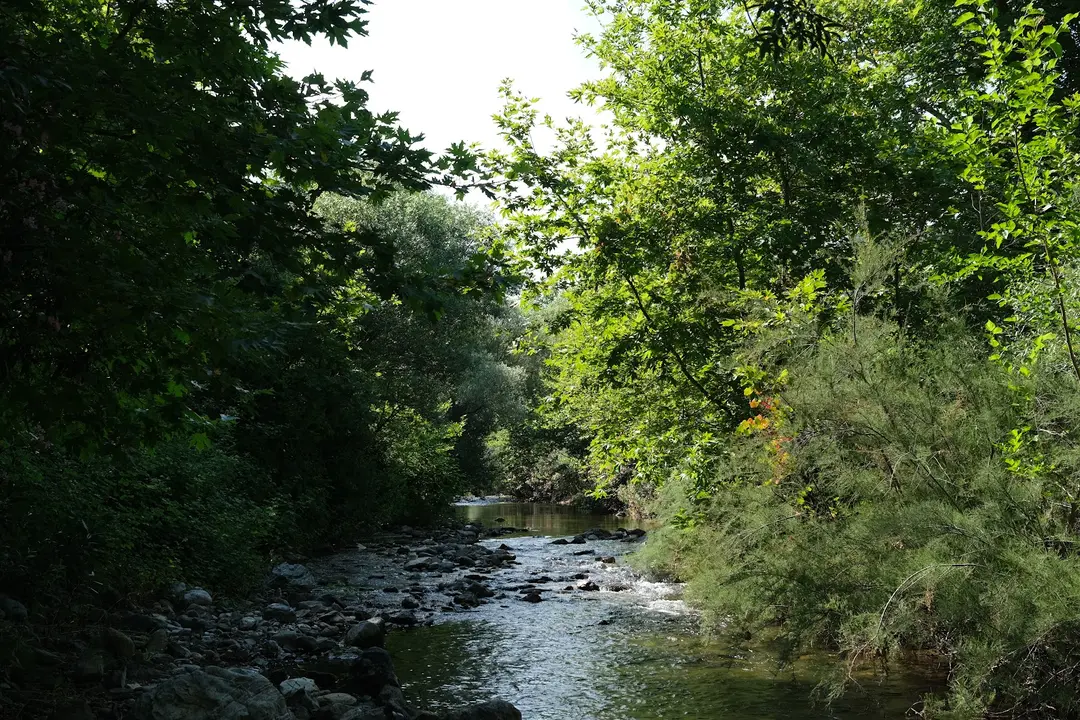 TALYA ÇADIR KAMP(Talyacamping) — Çanakkale — küçük resim 7