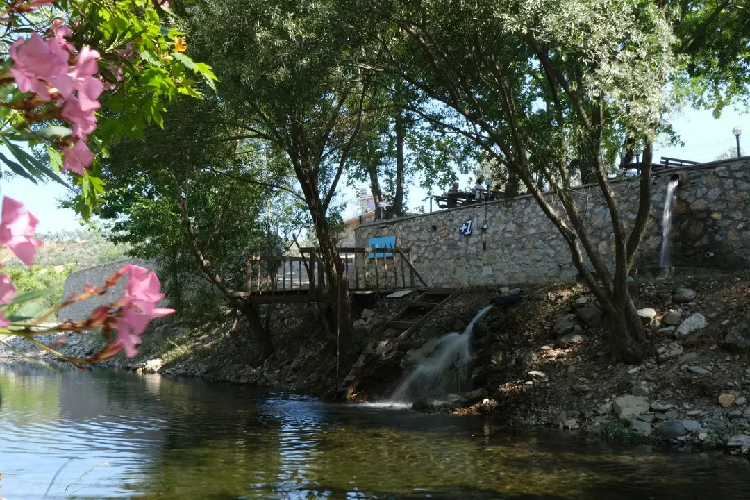 TALYA ÇADIR KAMP(Talyacamping) — Çanakkale — küçük resim 4