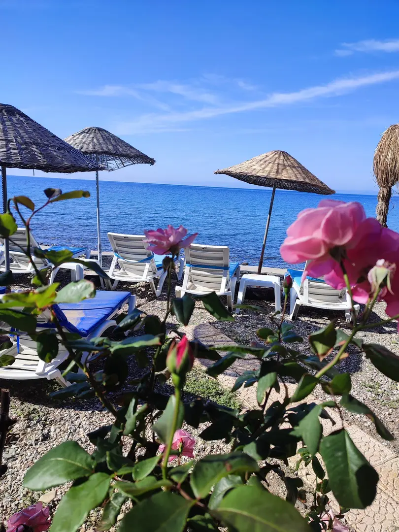 Assos Rüya Camping — Çanakkale — küçük resim 8