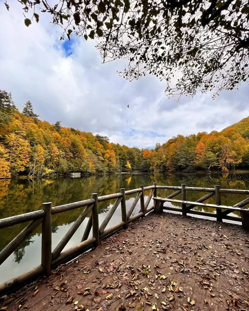 Yedigöller National Park Camping Area — Bolu — küçük resim 9