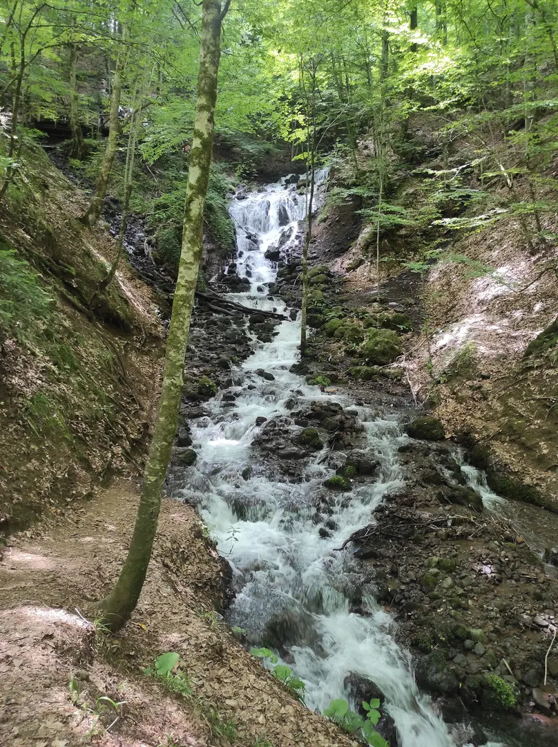 Yedigöller National Park Camping Area — Bolu — küçük resim 7