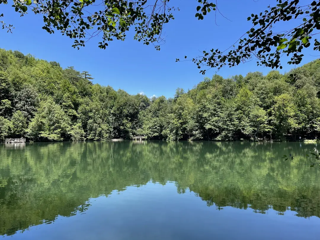 Yedigöller National Park Camping Area — Bolu — küçük resim 3