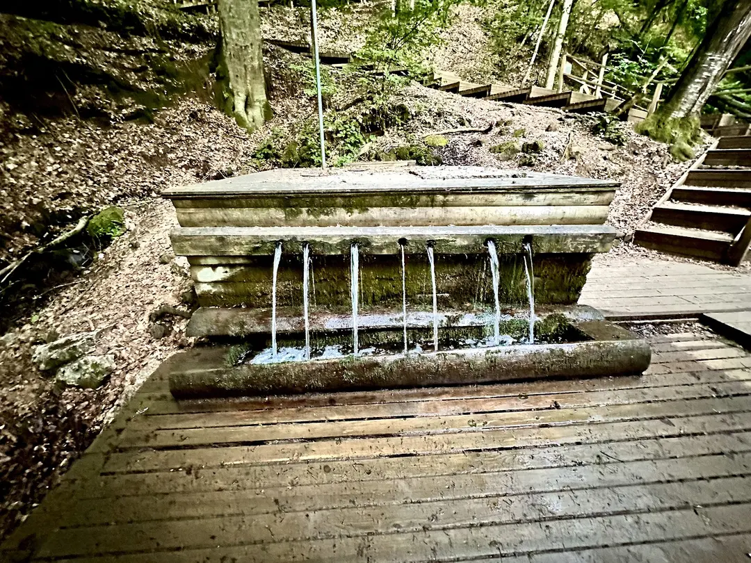 Yedigöller National Park Camping Area — Bolu — küçük resim 10