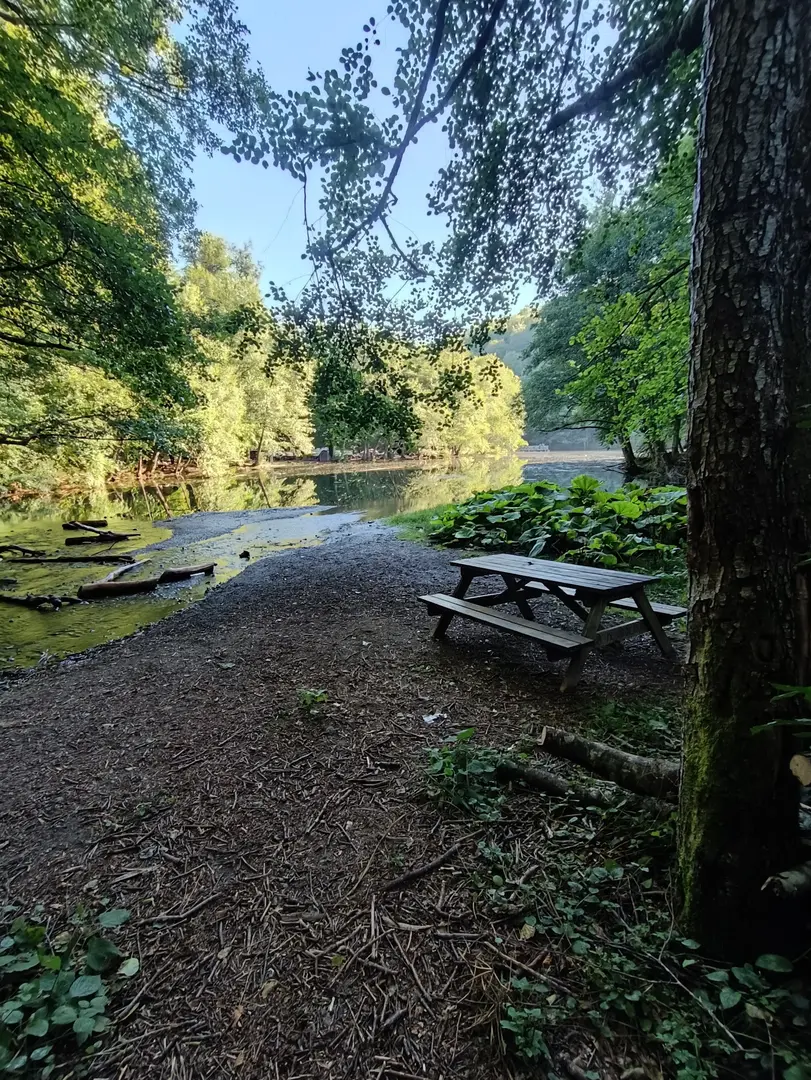 Yedigöller National Park Camping Area — Bolu — küçük resim 8