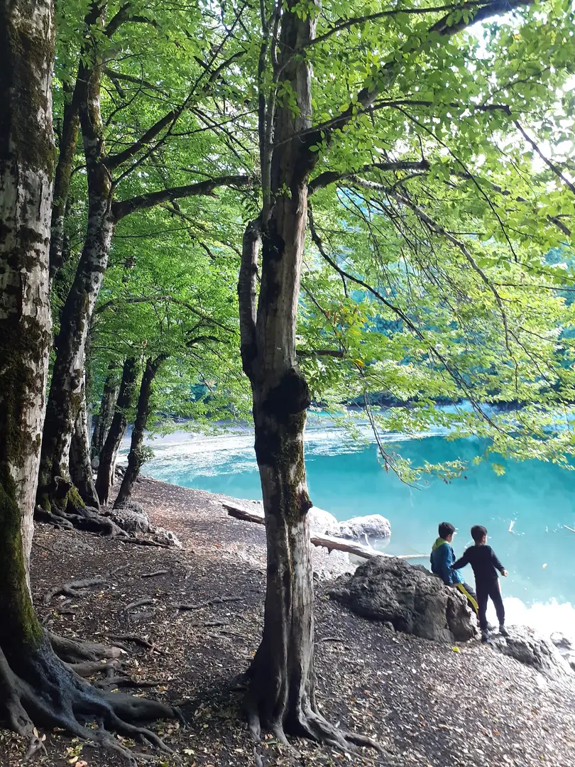 Yedigöller National Park Camping Area — Bolu — küçük resim 5