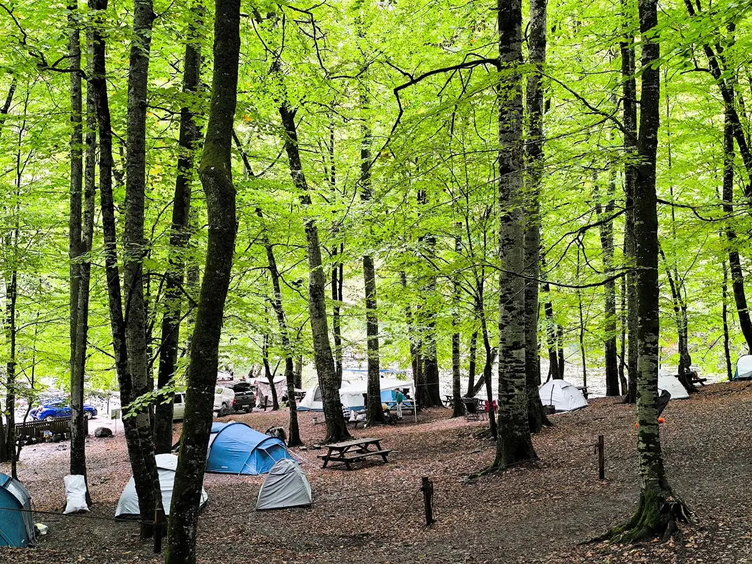 Yedigöller National Park Camping Area — Bolu — küçük resim 6
