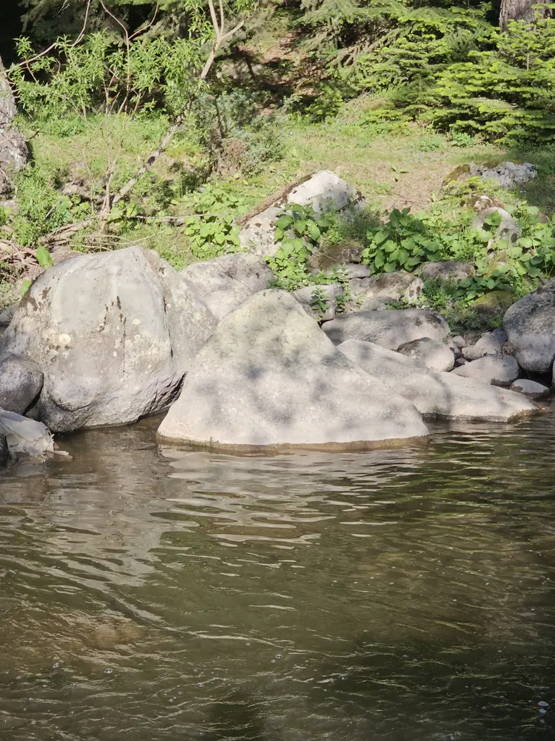 Göksu Nature Park Camping Area — Bolu — küçük resim 5