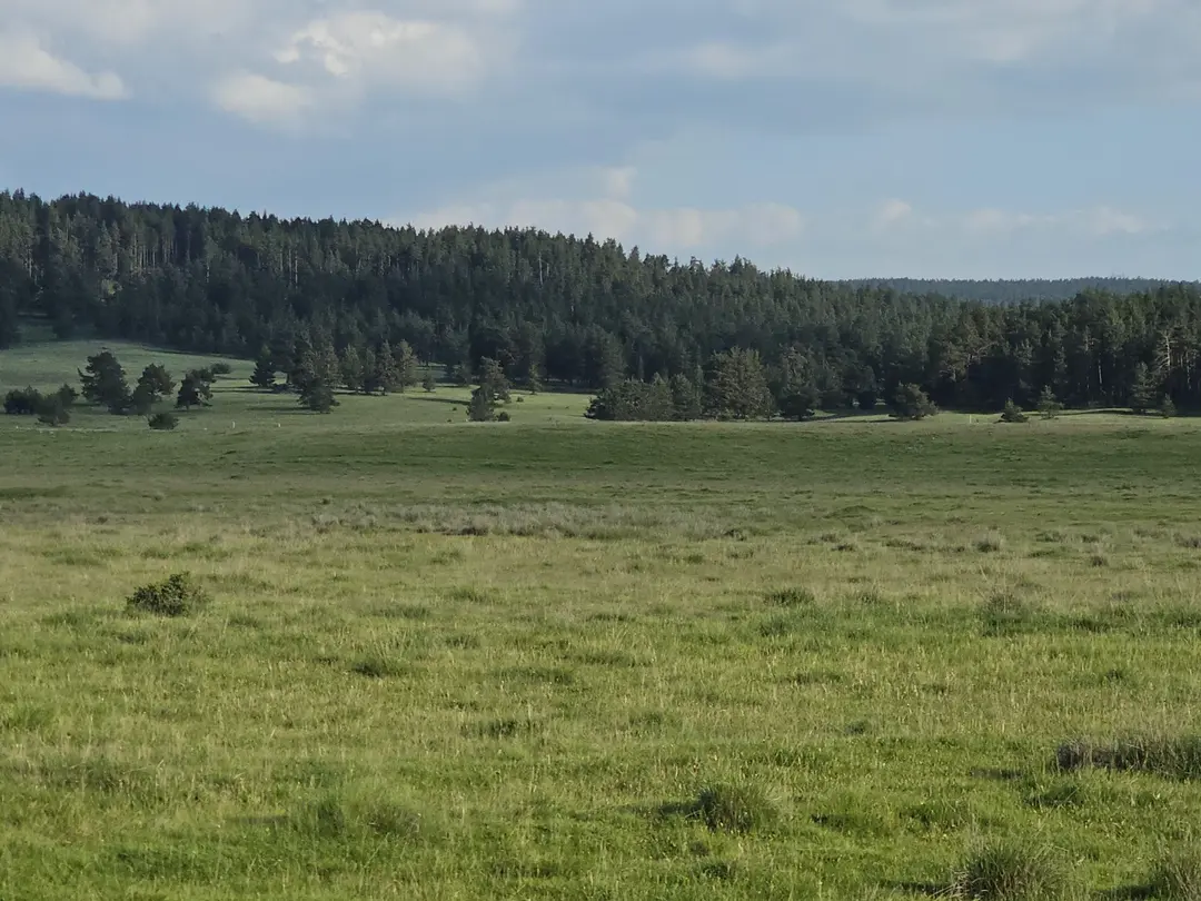 Göksu Nature Park Camping Area — Bolu — küçük resim 6